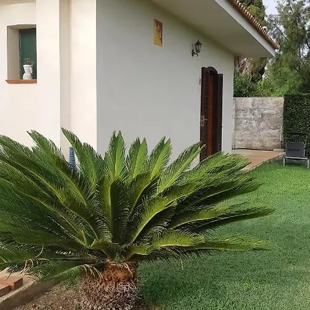 Medusa Trinacria